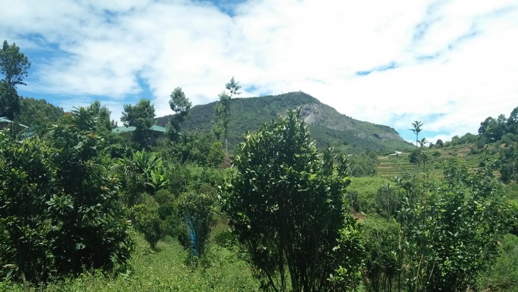 Kanthalloor, the fruit bowl of Kerala the fridaymania
