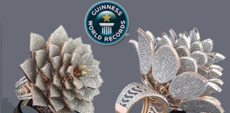 Indian Jeweller Sets Guinness World Record with his Diamond Ring
