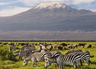 Amboseli National Park: Best Safari Park in Kenya