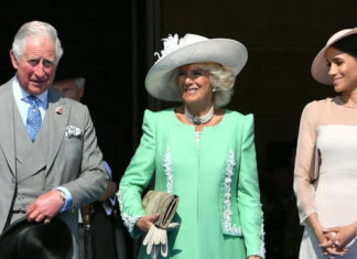 prince charles turns 70th birthday Party