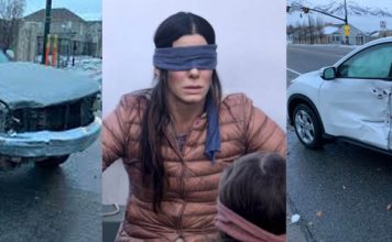 Bird Box Challenge
