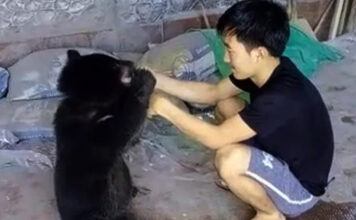 Incredible Friendship Between Tribal Boy and Bear Cub