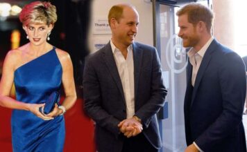 Princess Diana, Prince and brother William